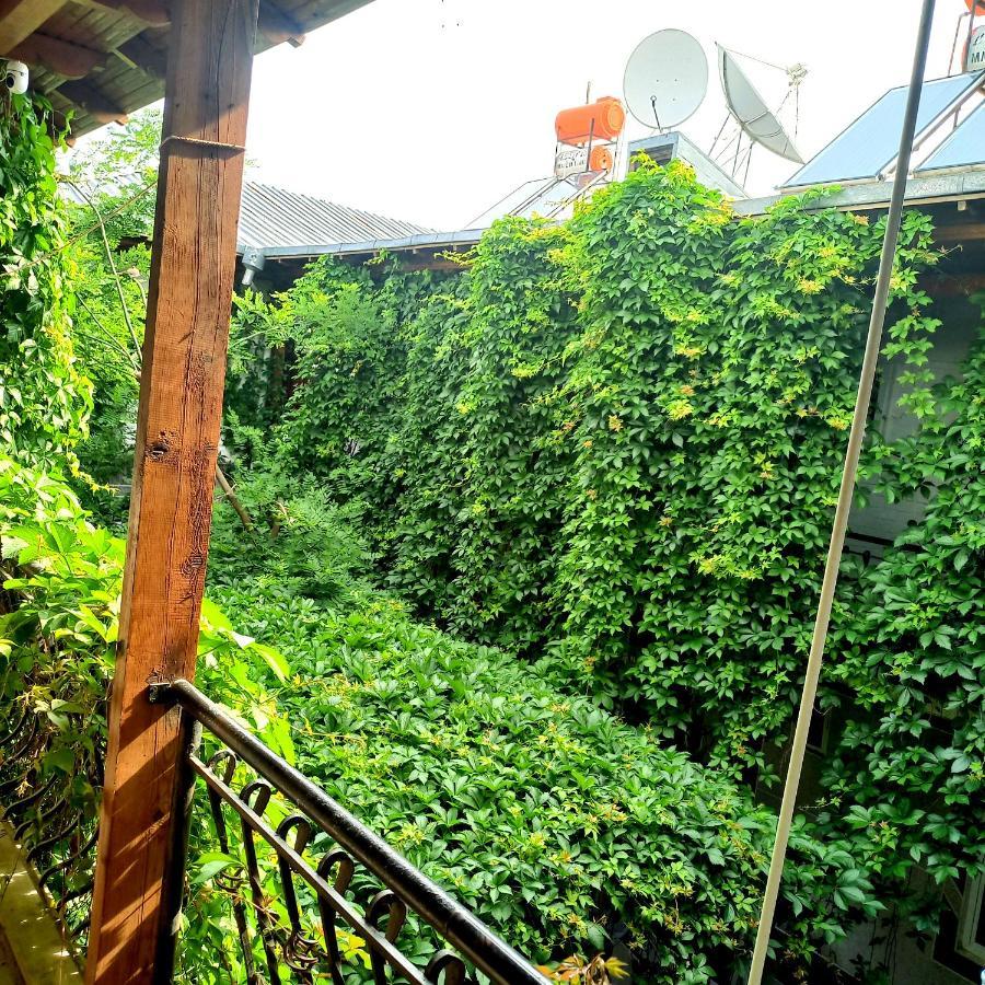 Hotel Salut Samarkand Exterior foto
